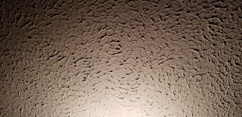 Textured Ceiling Painting